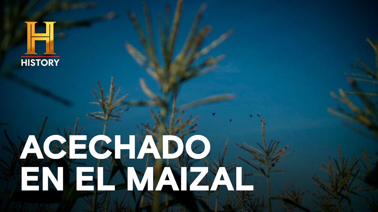 ACECHADO EN EL MAIZAL: ¡VI AL HOMBRE PERRO! 🐾🌽 - MONSTRUOS LEGENDARIOS