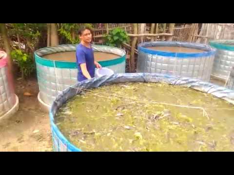 Yang dapat dimakan dalam 11 tahun untuk menurunkan berat badan Latihan yang paling efektif untuk menurunkan berat badan dan perut