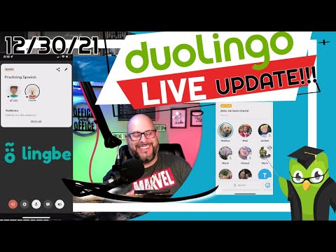 lingbe chat vs  duolingo live