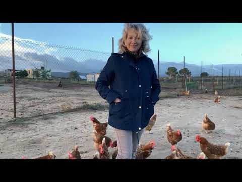 Fotograma del vídeo: 20 Aldeanas del siglo XXI Castilla La Mancha Consuelo Sánchez