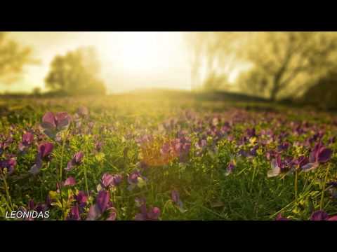 Gabriele Tosi - Concert at the "Theatre Marcello" in Rome (2 Songs)