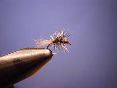 Tying a still born midge with Johnny Utah.