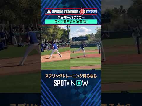 【大谷翔平】 現地取材レポート🌸ライブBPでタッカーと対決！　# shorts #SPOTVNOWスプリングトレーニング