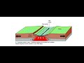 Rift Ridge Formation Animation