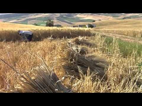 RECORDANDO EL AYER (CAPÍTULO 2)