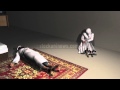 BIN LADEN KILLED IN HIS HOUSE BY NAVY SEALS.
