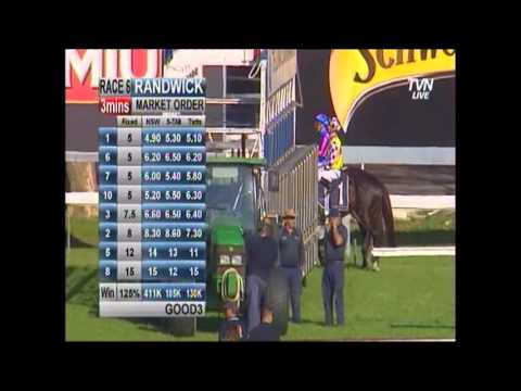 2014 ATC George Main Stakes _ Sacred Falls