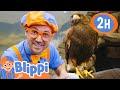 Blippi Feeds And Plays With The Animals At The Zoo 2 HOURS OF BLIPPI TOYS
