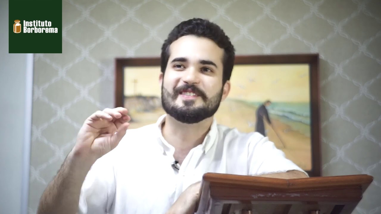 Uma Breve História sobre a Ordem dos Jesuítas / Danilo Moreira Mendes