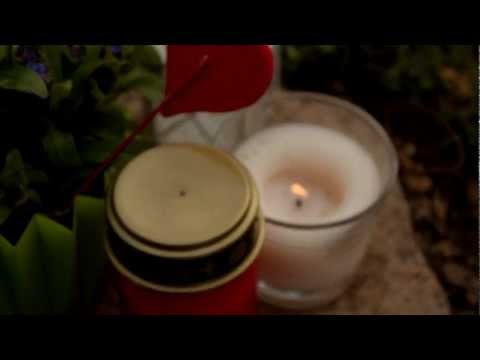 B.Cash - Bernd(VIDEO)