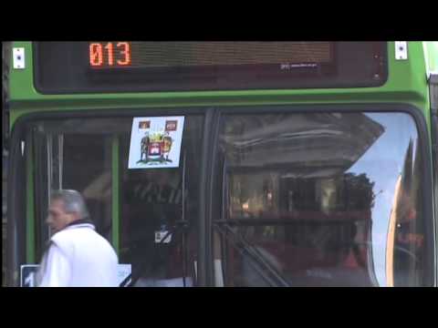 belami.rs - GRADSKI PREVOZ