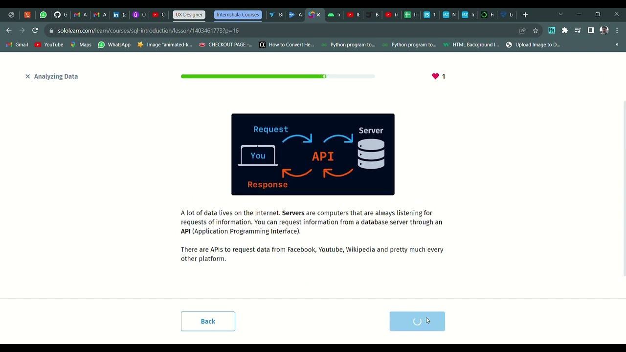 30 Analyzing Data | Introduction to SQL | Sololearn