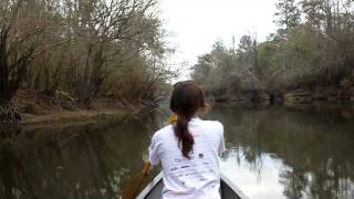preview picture of video '(Part 1)Ochlockonee near mile 20 down stream of lake Talquin dam'