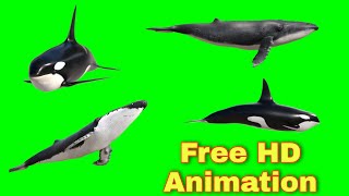 Download lagu real whale with sound green screen video 🐋 || Whale green screen video || free whale with sound 🐋 mp3