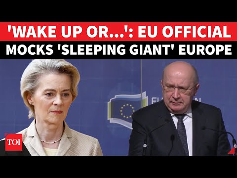 EU Official Sounds Alarm On Europe's Military Future | 'Ukraine War Exposes Defence Weakness'