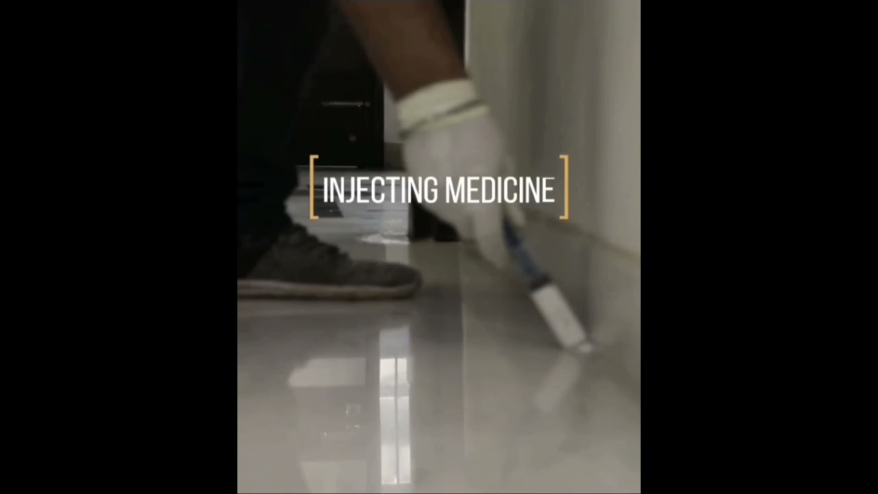 Apex Pest Control | Services | termite treatment | cockroaches | bedbugs #apexpestcontrol