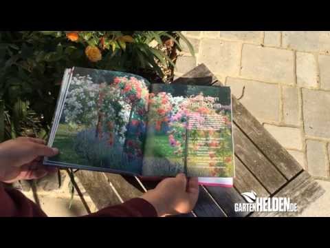 BLV Handbuch Rosen , gartenHELDEN.de Buchtipp der Woche 16/2014