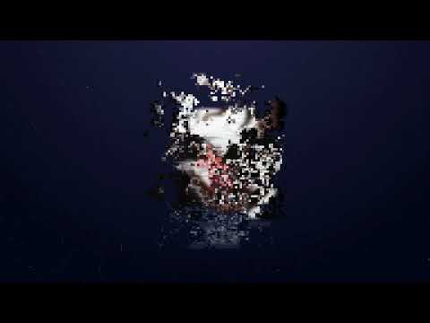 Flyff Secret Room 20.02.2022 Clay / Leverage / Honour / Page / TheAscended / Libertas / Solis