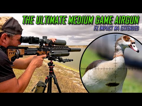The Ultimate Medium Game Airgun | FX Impact M4 Extended | 34gr Slugs at 1000fps | Airgun Hunting