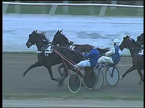 Trotto 01/10/2015 - 6° corsa