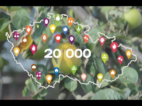 Mapa Na ovoce 2.0