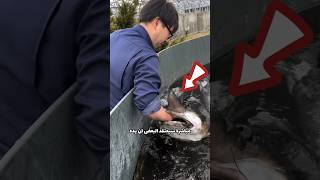 ألطف عضة!