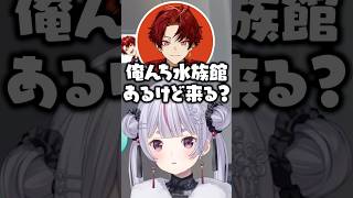 兎咲ミミと白波らむねを家に誘うもまさかの返事に爆笑する柊ツルギ【ぶいすぽ/切り抜き】#ぶいすぽ #兎咲ミミ