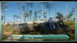 Miniatura do vídeo