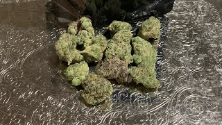 Flaming Cheetoz Strain Review