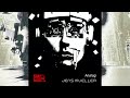 Jens Mueller Analog Original Mix Furrier Records