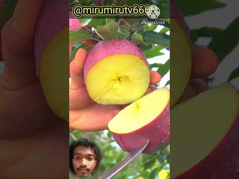 Delicious red apple cutting - Farm fresh ninja fruit cutting