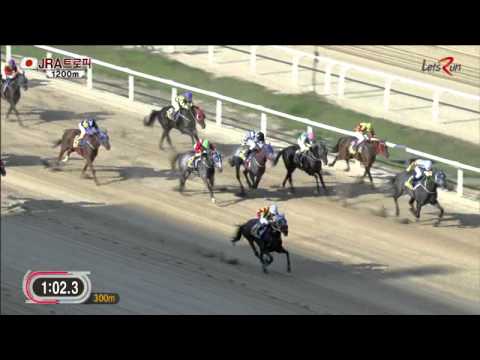 JRA Trophy 2014 - Bichui Jeongsang
