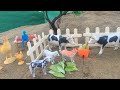 Diy How To Make Wooden House Goat House Cow Shed Woodworking