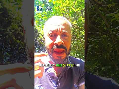 🎥 Le réel n’est pas ce que tu crois.