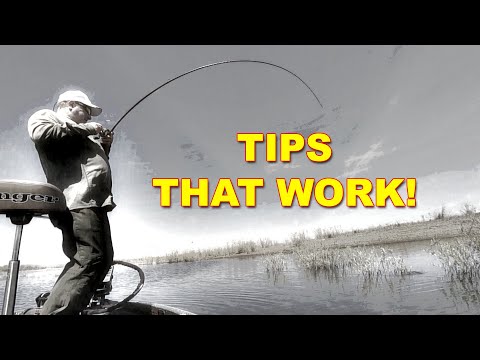 The Best Stupid Tube Fishing Tips: How To | How To | Bass Fishing