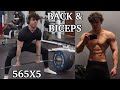 565LBS DEADLIFT FOR 5, BACK AND BICEP WORKOUT | SQUATS & SURPRISES