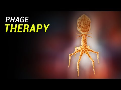 Phage Therapy: How does it work?