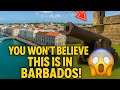 WONDERS OF BARBADOS A MOST AMAZING PLACES IN BARBADOS TRAVEL VIDEOS 8K ️ ️