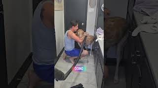 Tome for this blind dogs bath! #dogshorts #doggielife #mypet #puppy #blinddogs