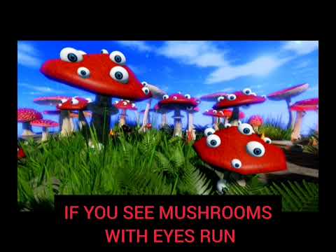 Rules of the Mother's World