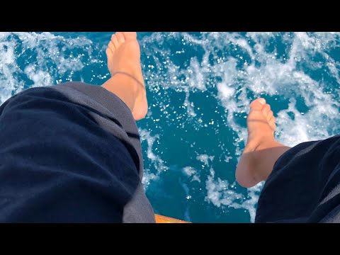 Stell & Snuggs - Sea Meets The Sky |Official Music Video|