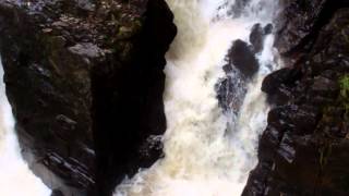 preview picture of video 'Salmon Leaping Hermitage Falls By Dunkeld Highland Perthshire Scotland'