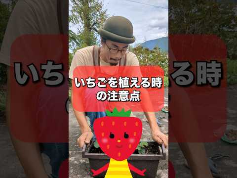 園芸 イチゴに関するよくある質問