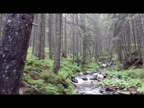 Karpaten Ukraine 🇺🇦