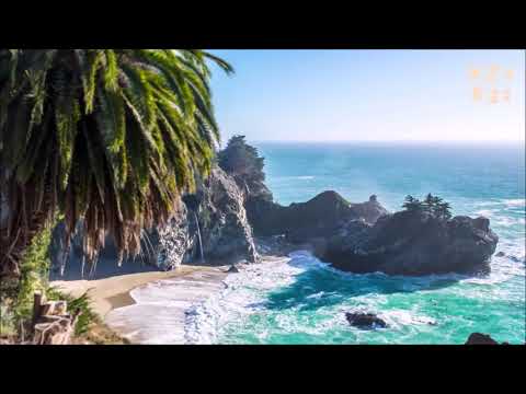 Wahrnehmen ohne benennen - Eckhart Tolle