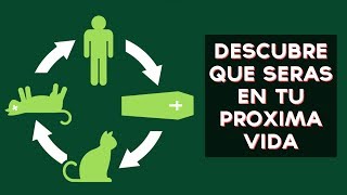Cual será tu próxima reencarnación? Descubre en que te reencarnarás tu próxima vida con este divertido test! ↠↠ ¡No te olvides de suscribirte para no perderte ...