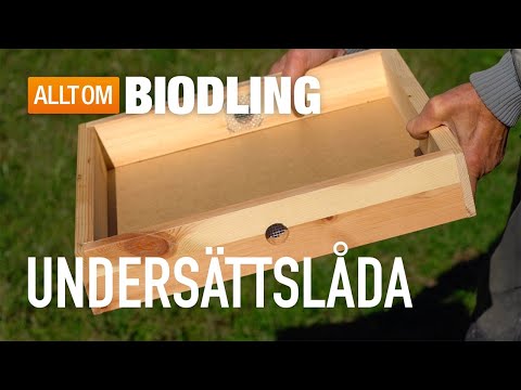 Undersättslåda för biodling