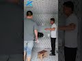 cold room installation cold storage #coldroom #coldstorage #camara #coldroomfreezer #walkinfreezer