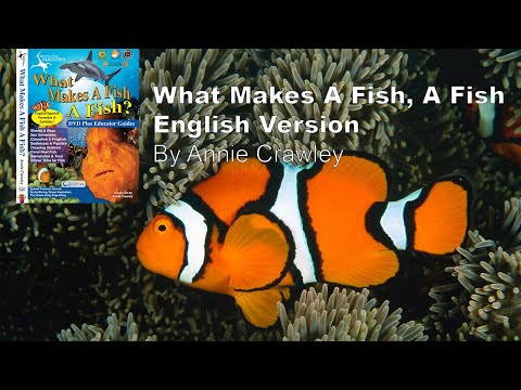 What Makes A Fish A Fish Adventures of Ocean Annie
