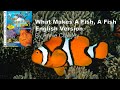 What Makes A Fish A Fish Adventures Of Ocean Annie